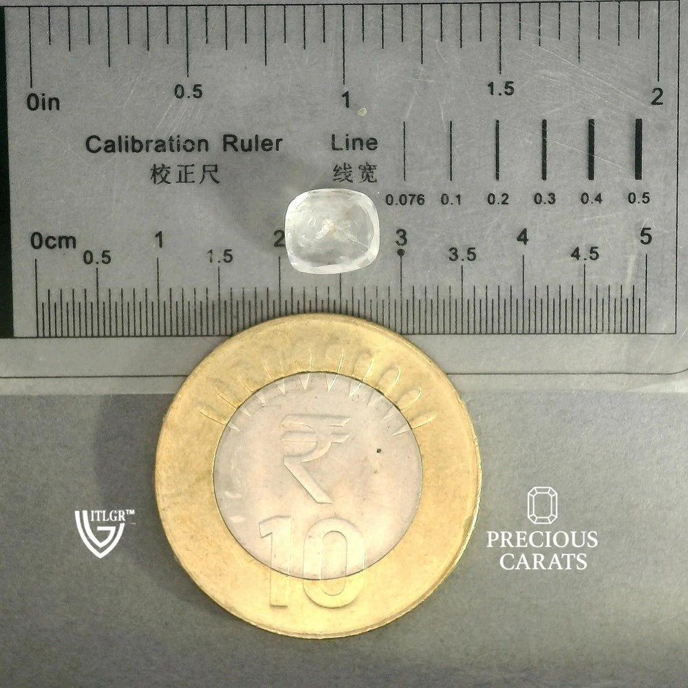 ITLGR_100379_SCALE.webp