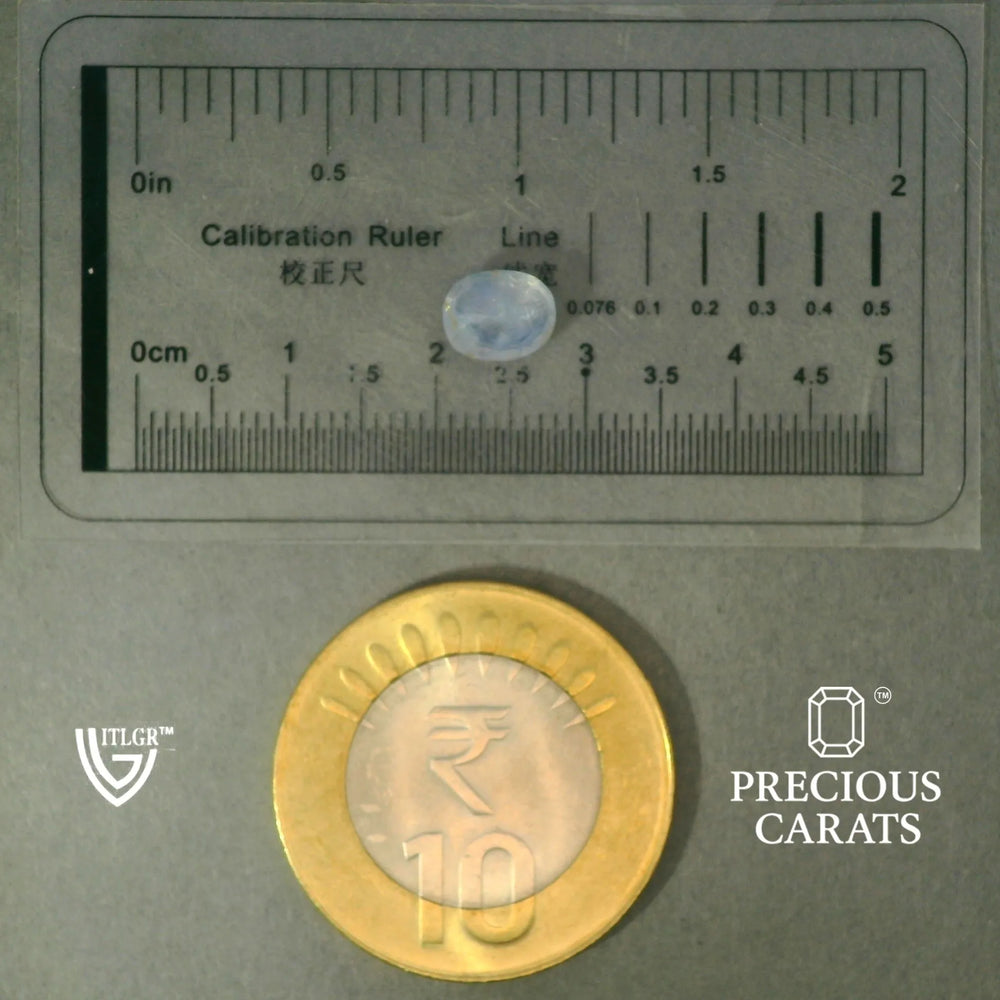ITLGR_100456_SCALE.webp