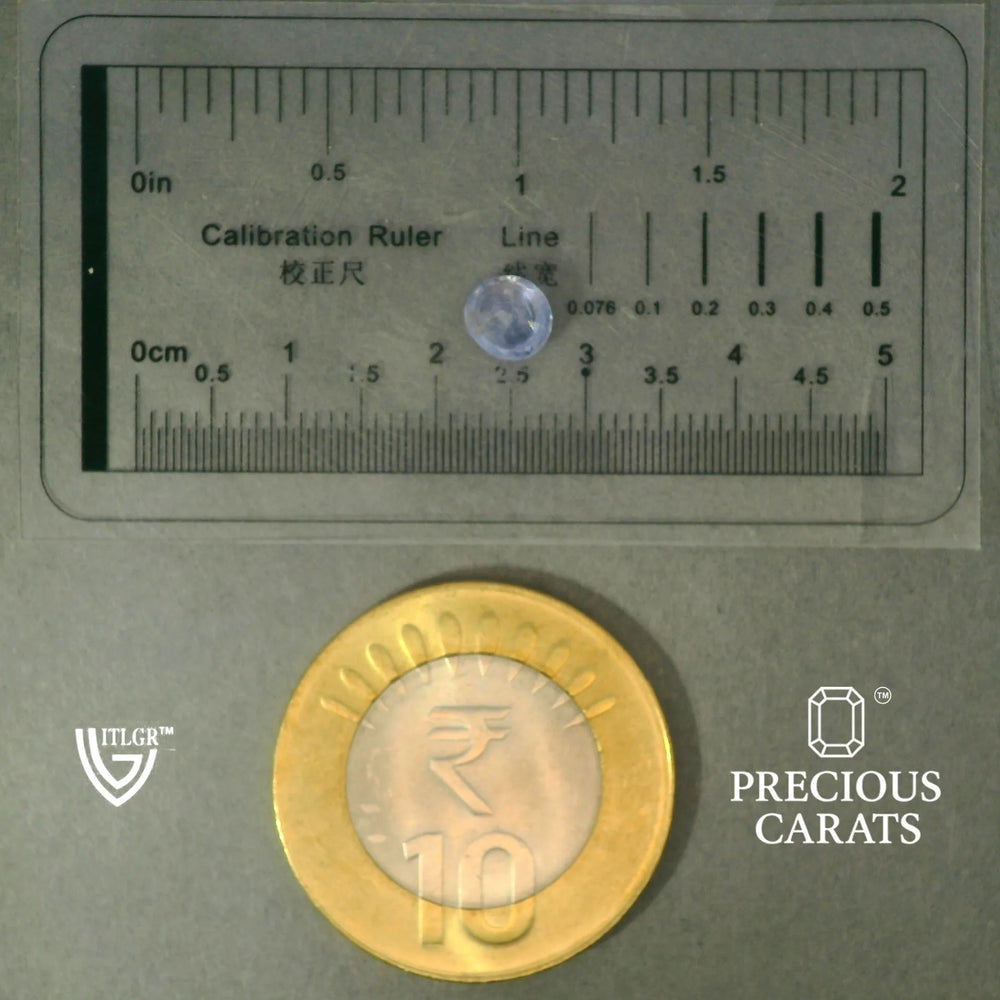 ITLGR_100459_SCALE.webp