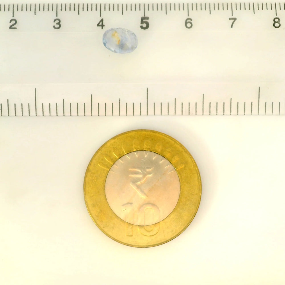 ITLGR_100465_SCALE.webp