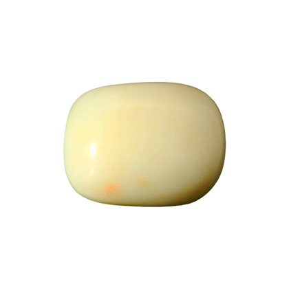 ITLGR_102019_FRONT.png