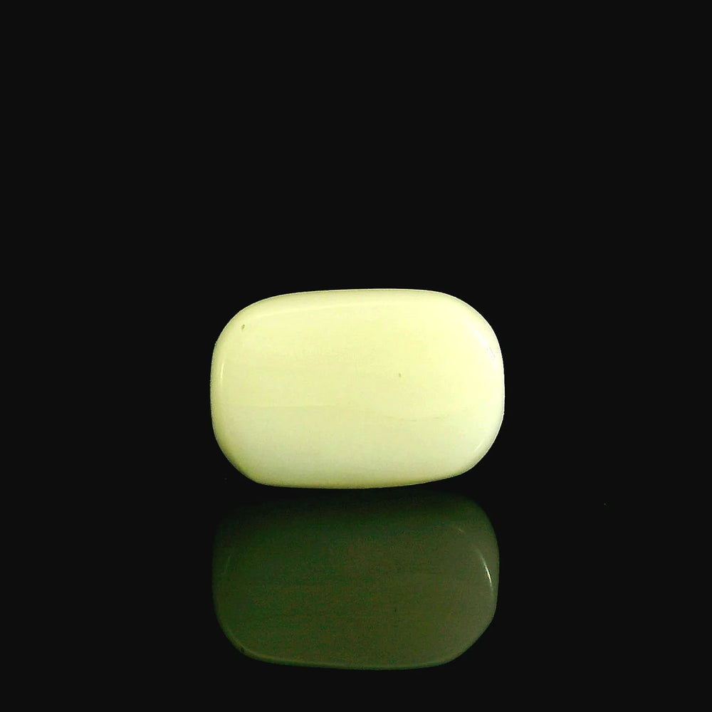 ITLGR_102037_BACK.webp