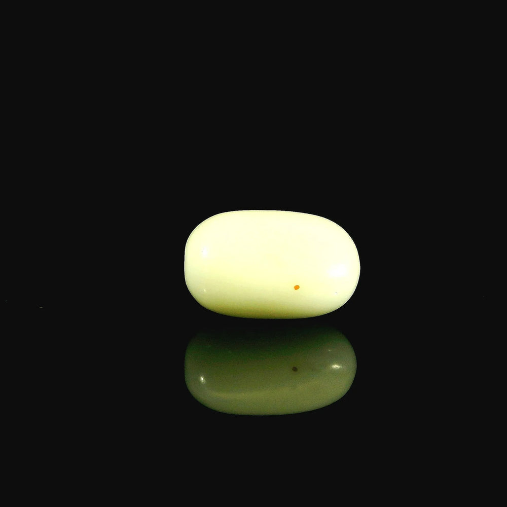 ITLGR_102040_FRONT_BG.webp