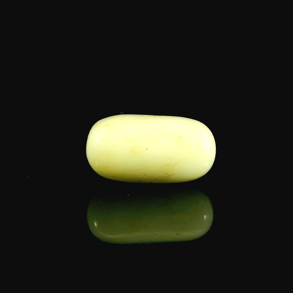 ITLGR_102041_FRONT_BG.webp