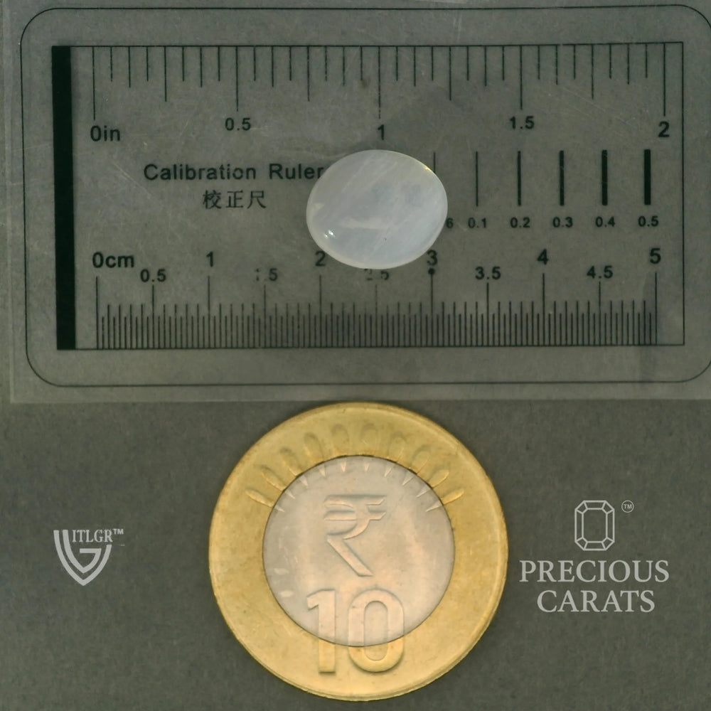 ITLGR_102043_SCALE.webp