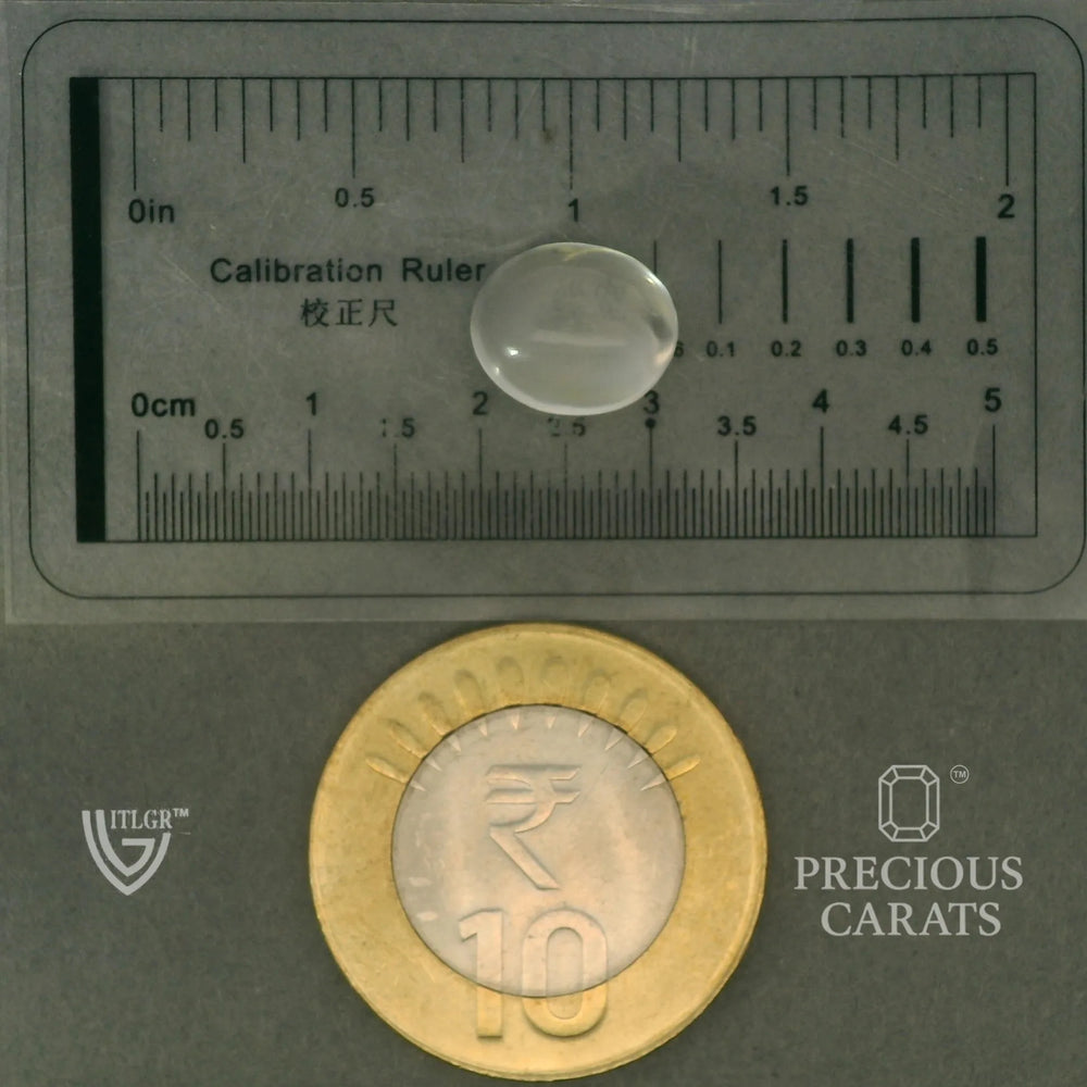 ITLGR_102050_SCALE.webp