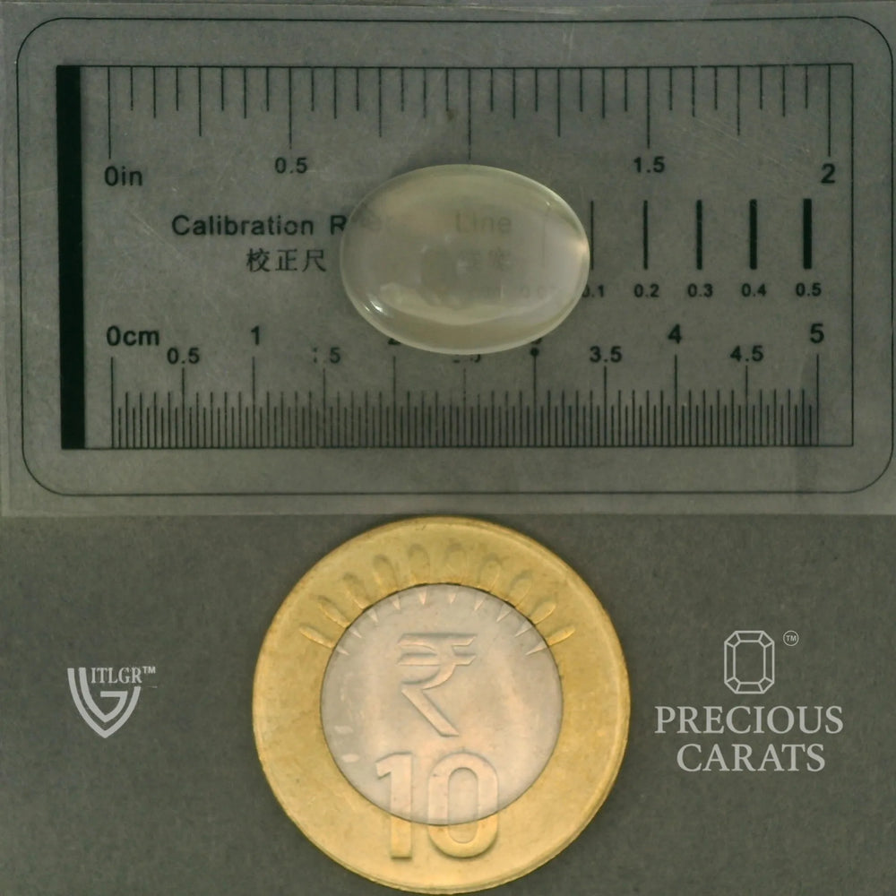ITLGR_102051_SCALE.webp