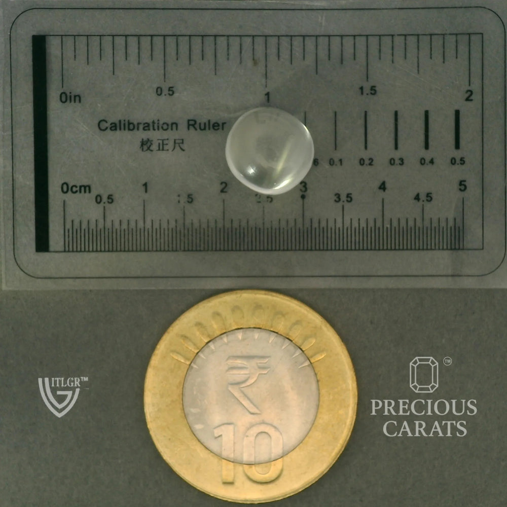 ITLGR_102053_SCALE.webp