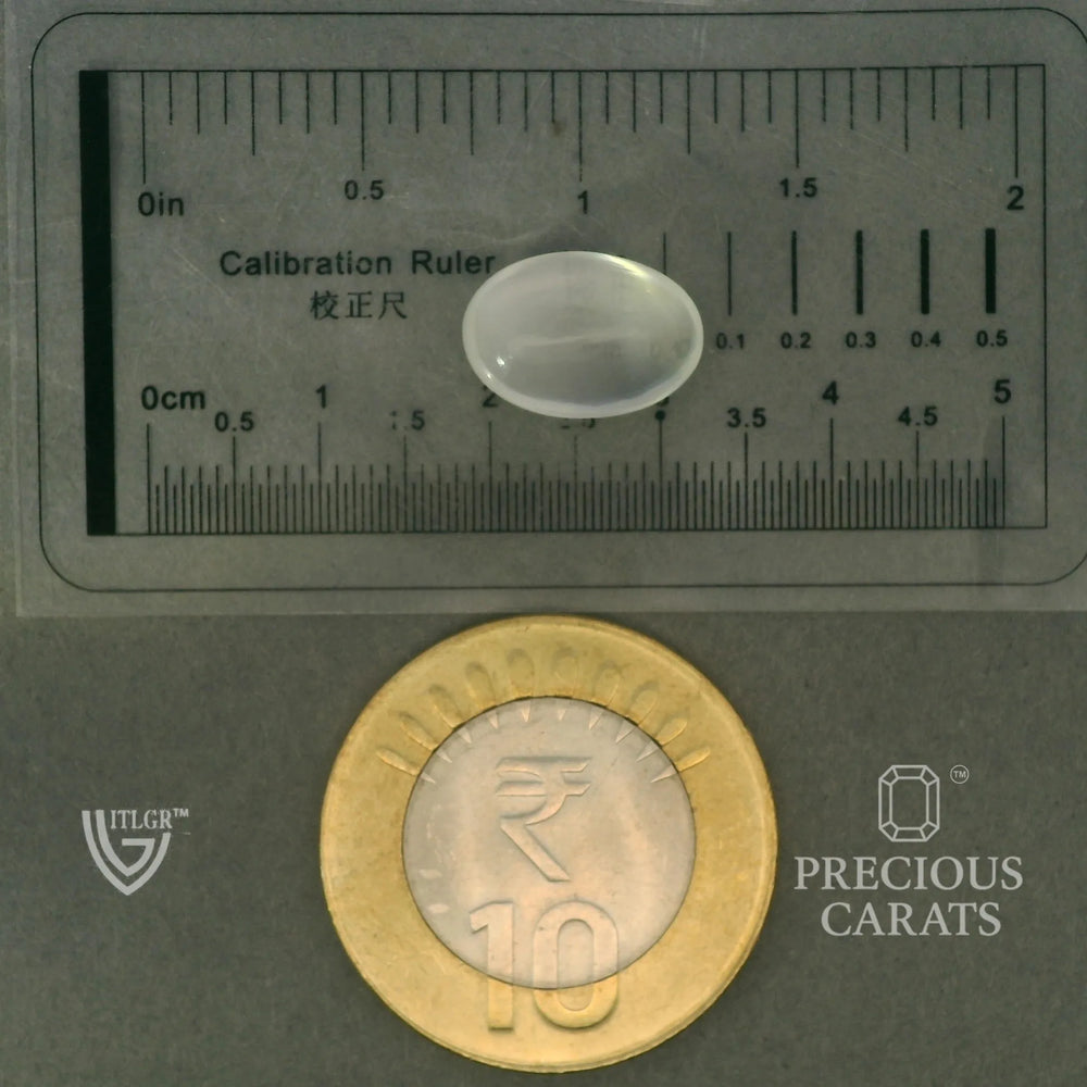 ITLGR_102056_SCALE.webp