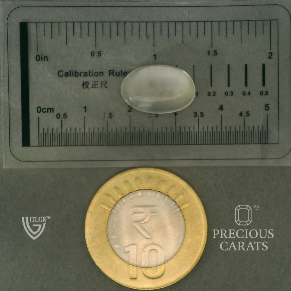 ITLGR_102061_SCALE.webp