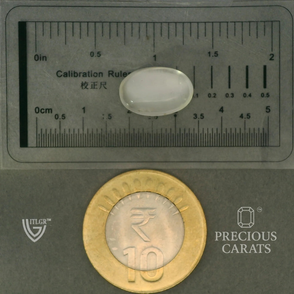 ITLGR_102062_SCALE.webp