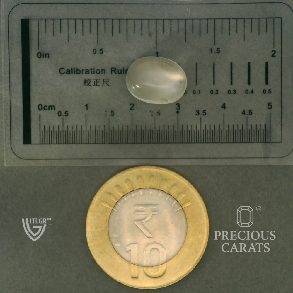ITLGR_102065_SCALE.webp