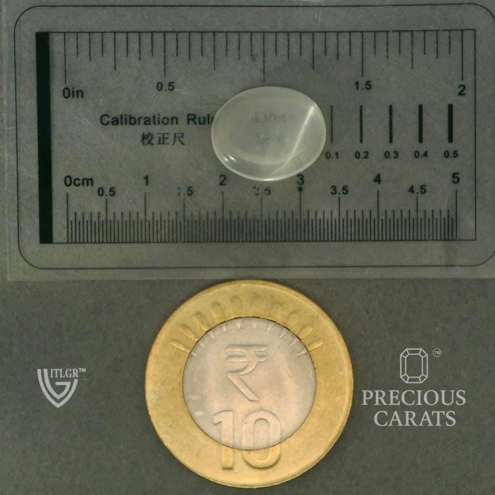 ITLGR_102068_SCALE.webp