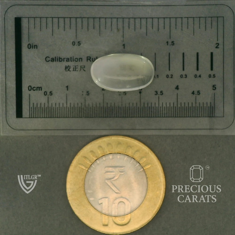 ITLGR_102071_SCALE.webp