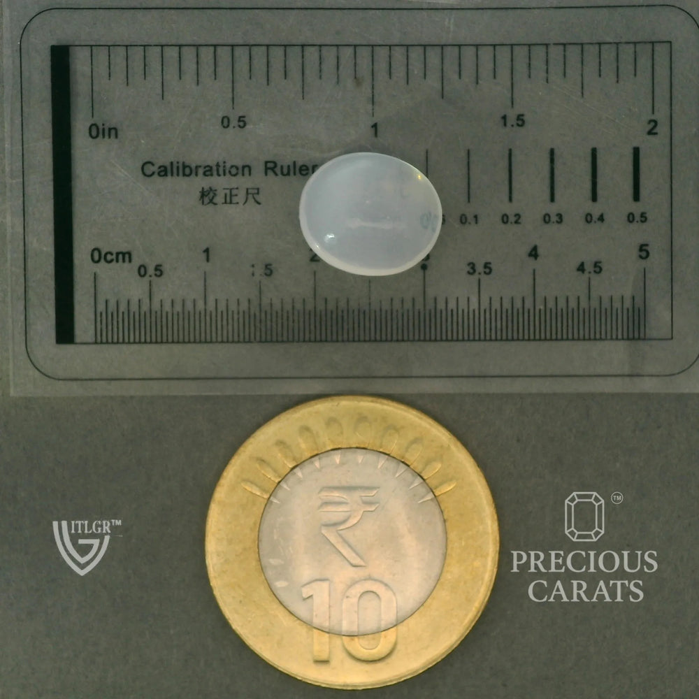 ITLGR_102073_SCALE.webp