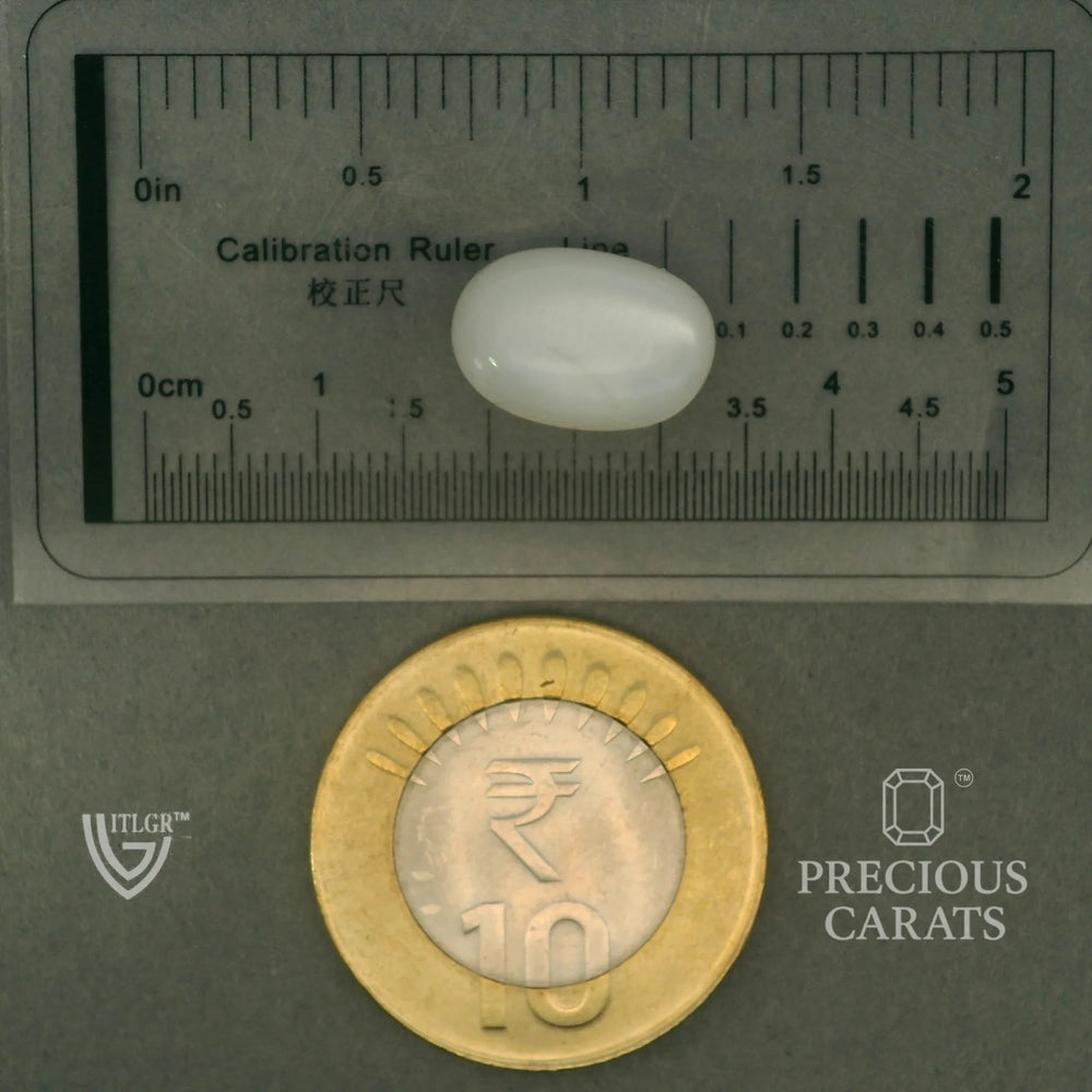 ITLGR_102074_SCALE.webp