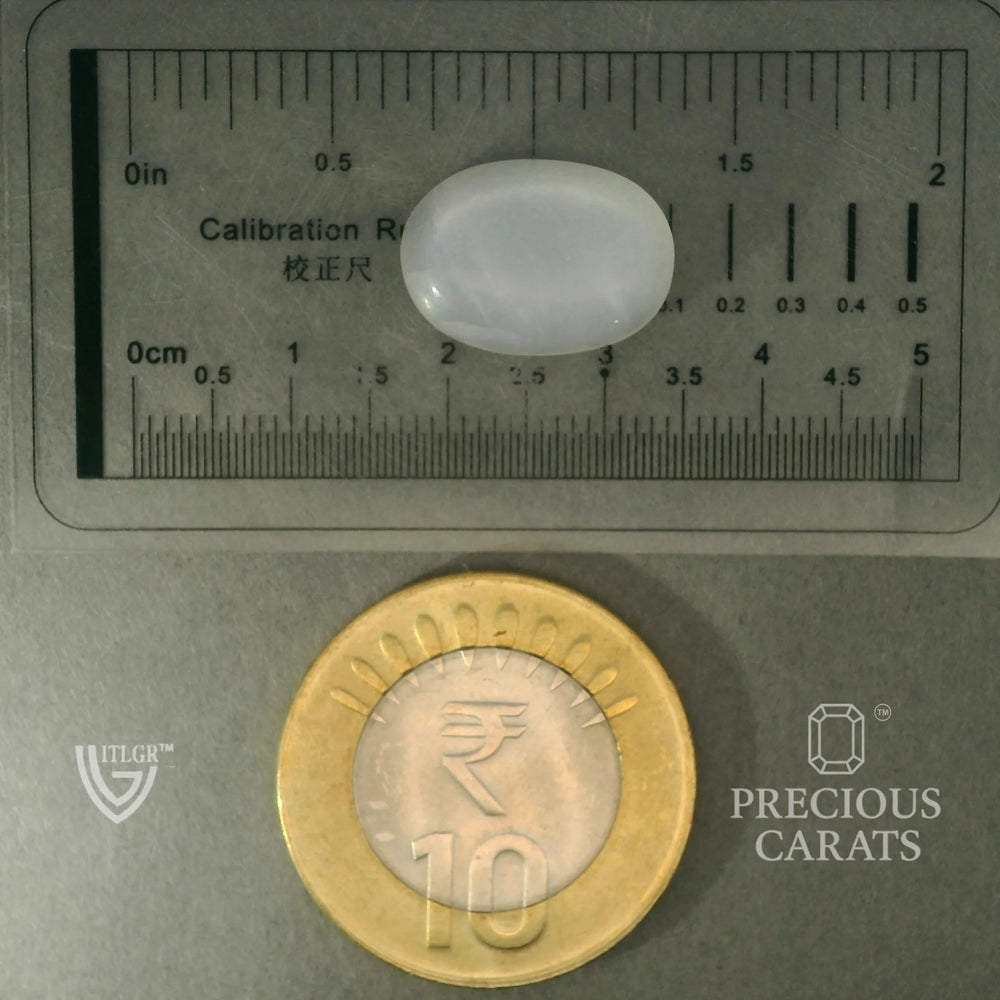ITLGR_102075_SCALE.webp