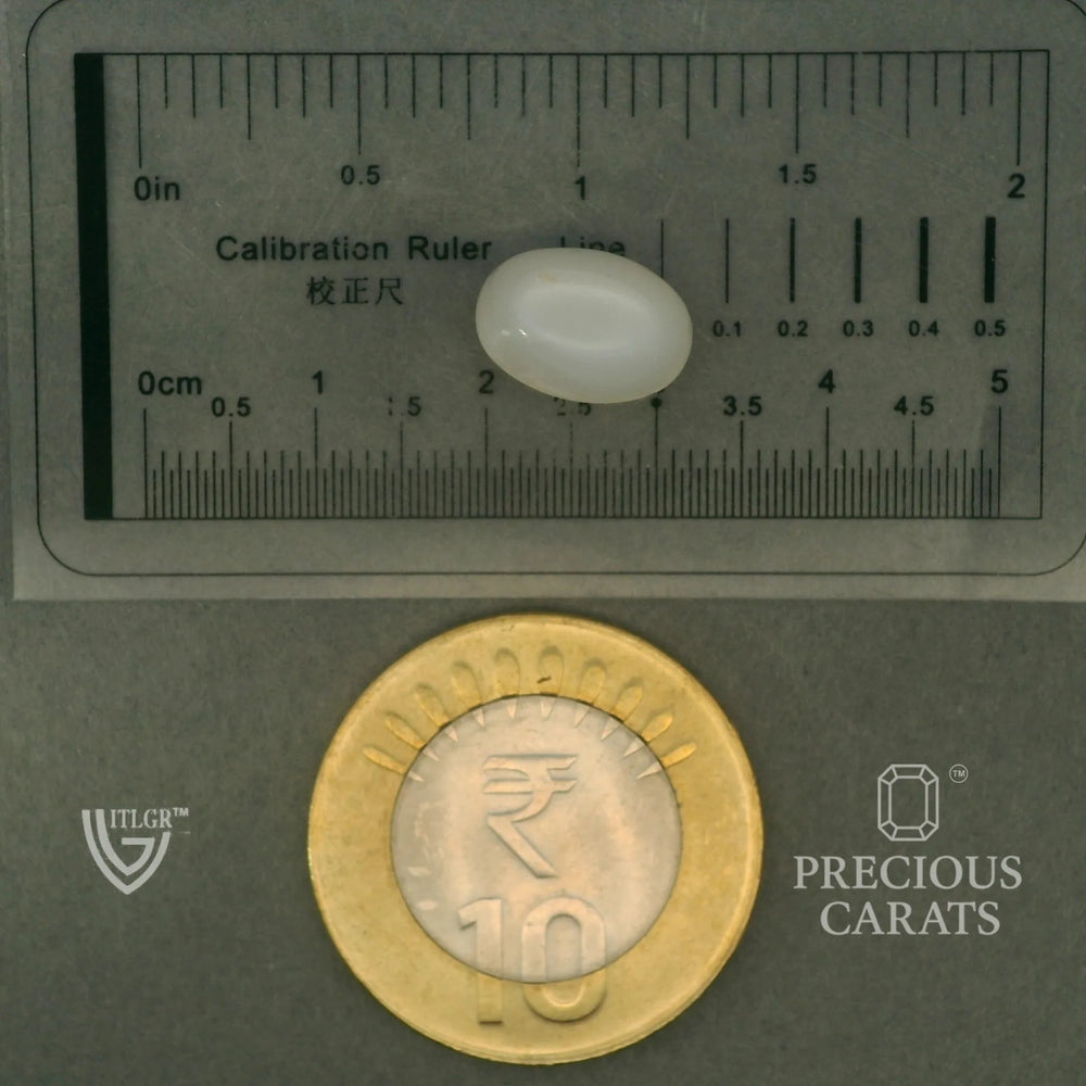 ITLGR_102078_SCALE.webp