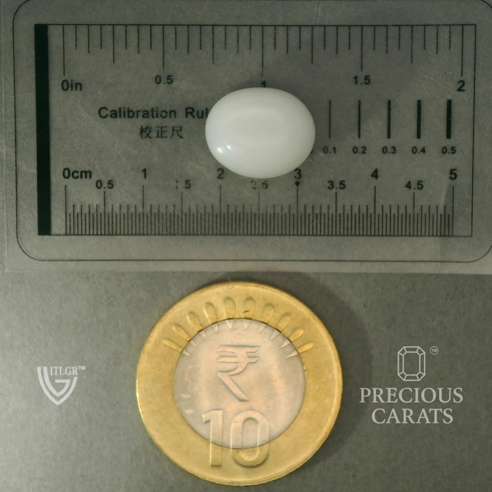 ITLGR_102079_SCALE.webp