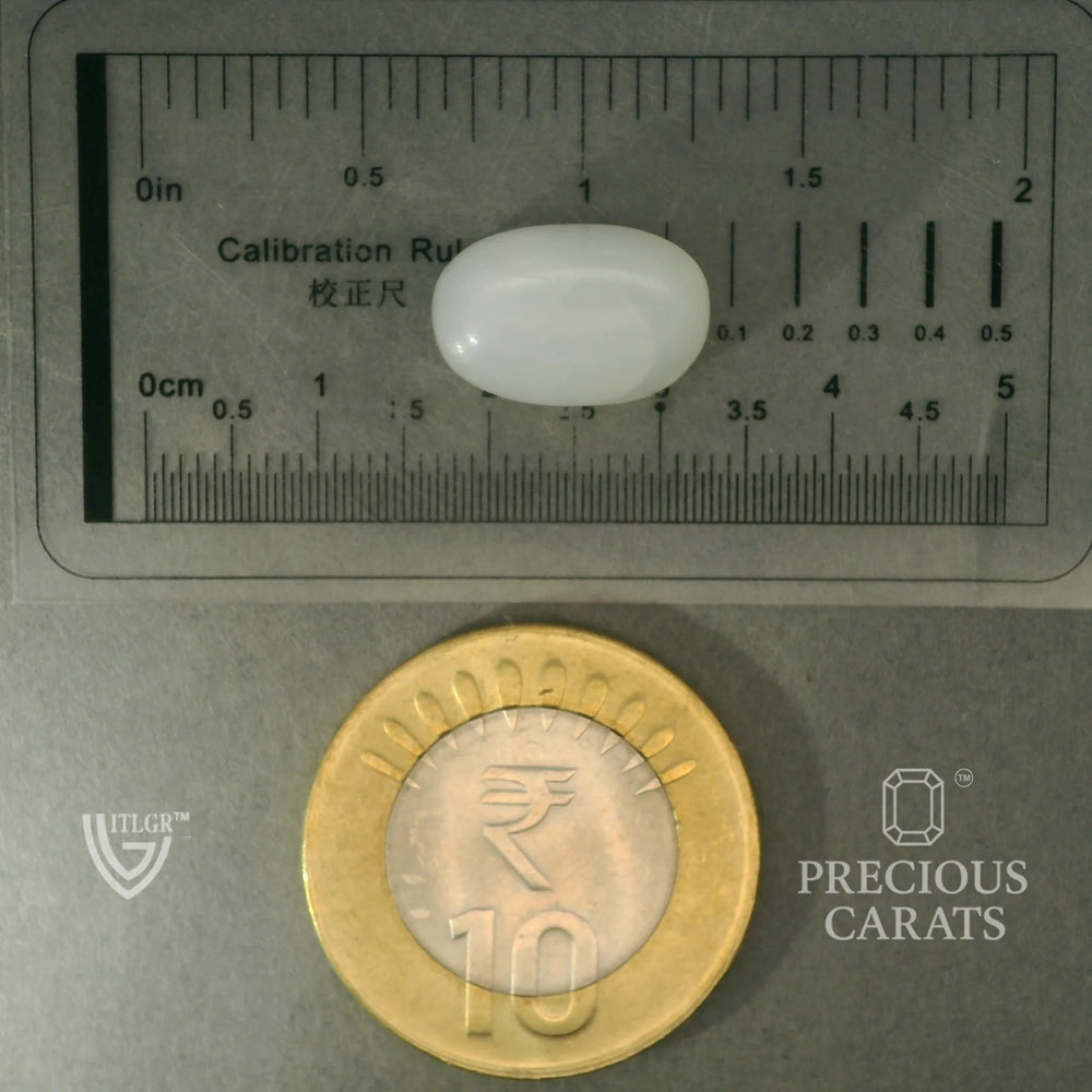 ITLGR_102080_SCALE.webp