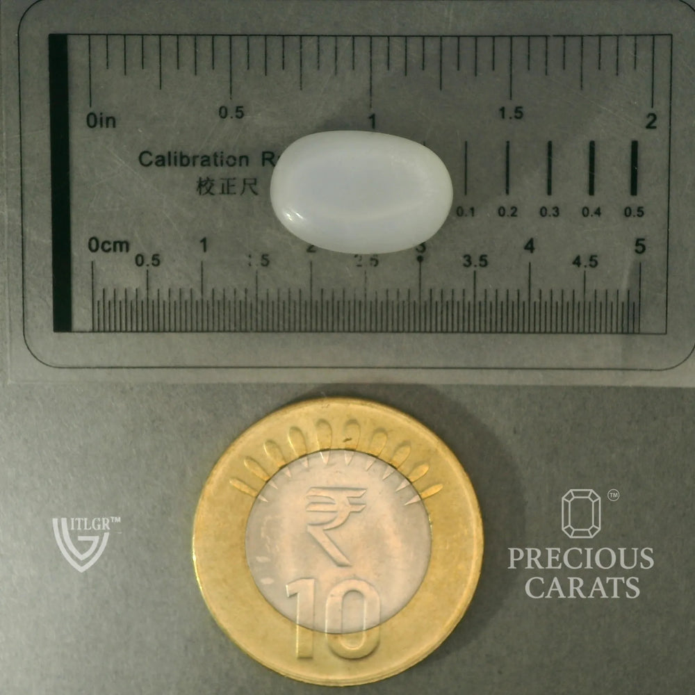 ITLGR_102081_SCALE.webp