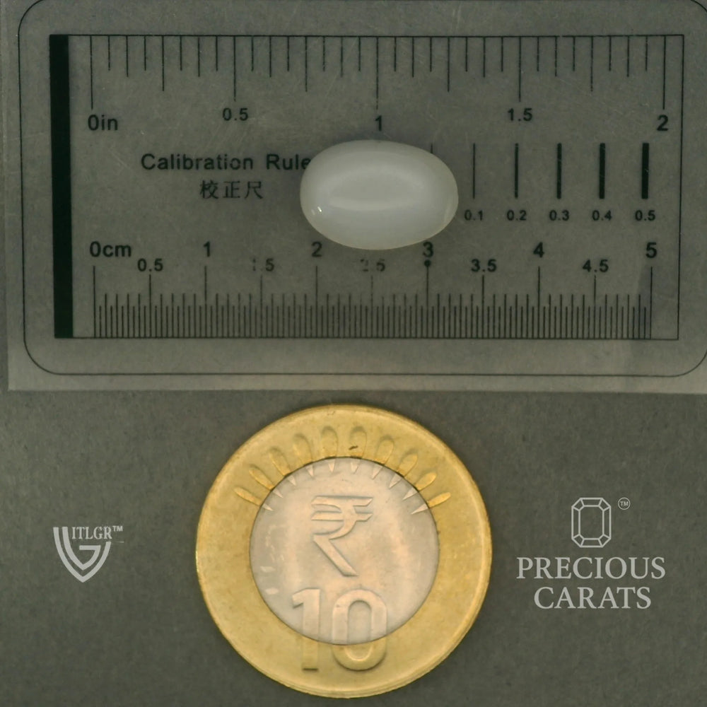 ITLGR_102082_SCALE.webp