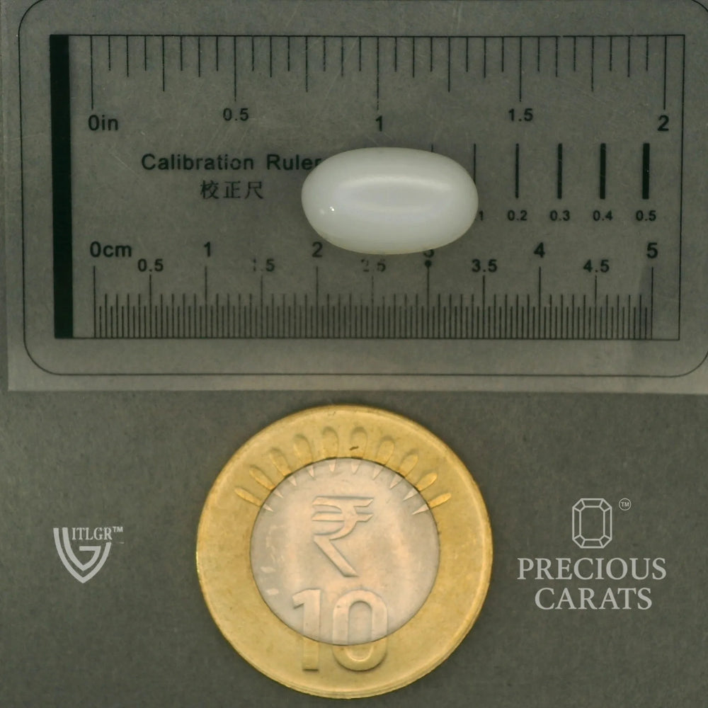 ITLGR_102083_SCALE.webp
