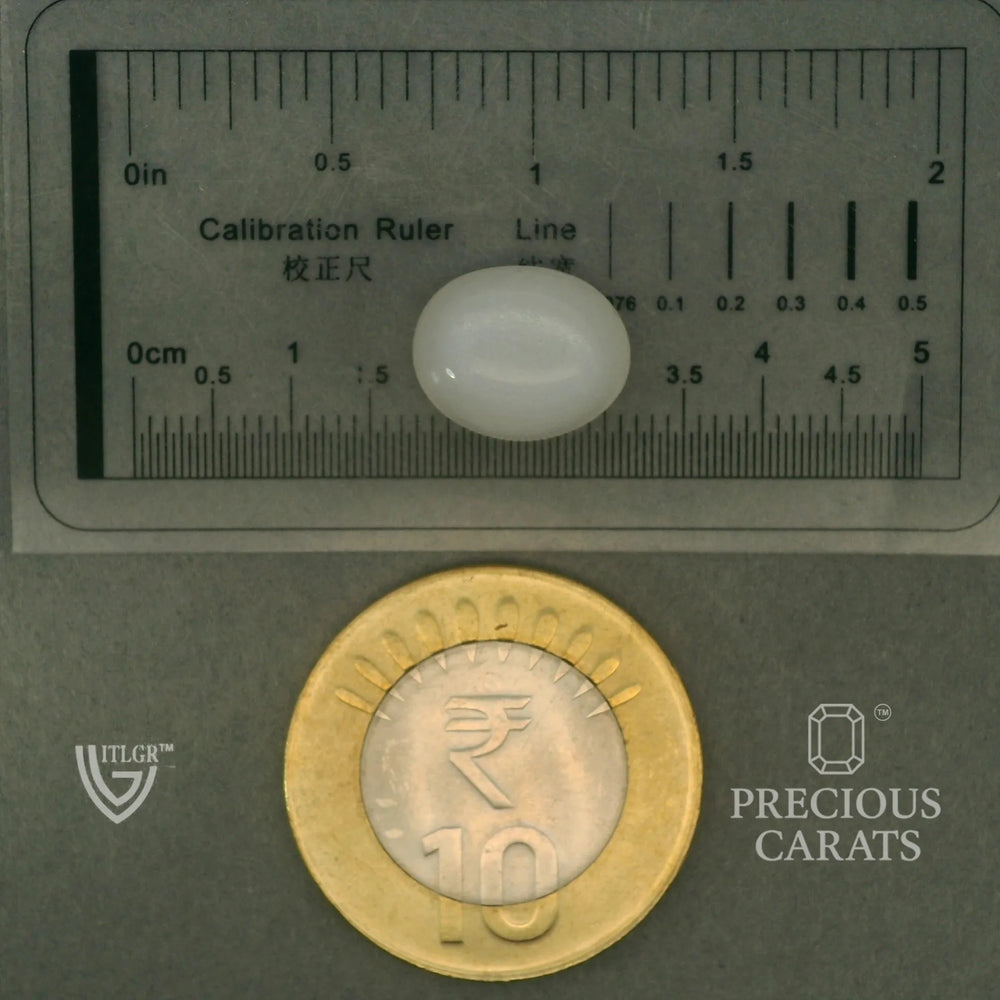 ITLGR_102086_SCALE.webp