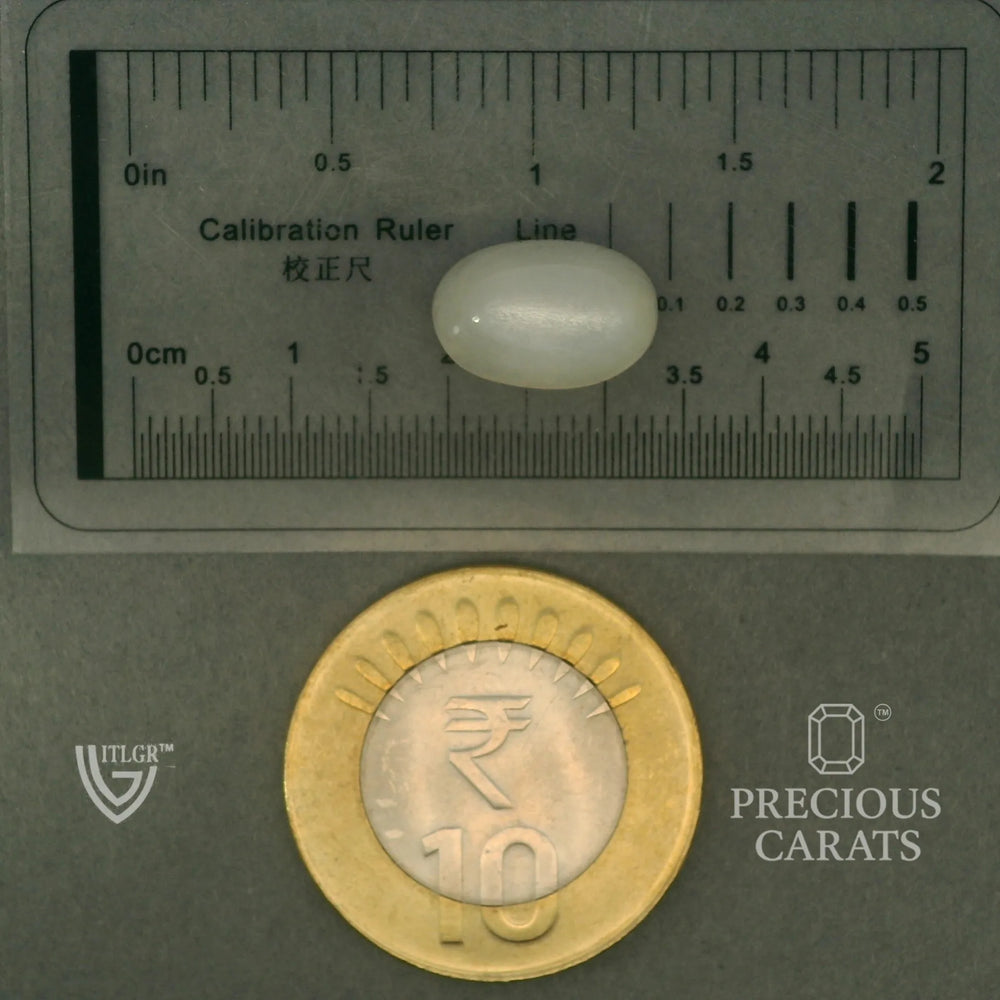 ITLGR_102088_SCALE.webp