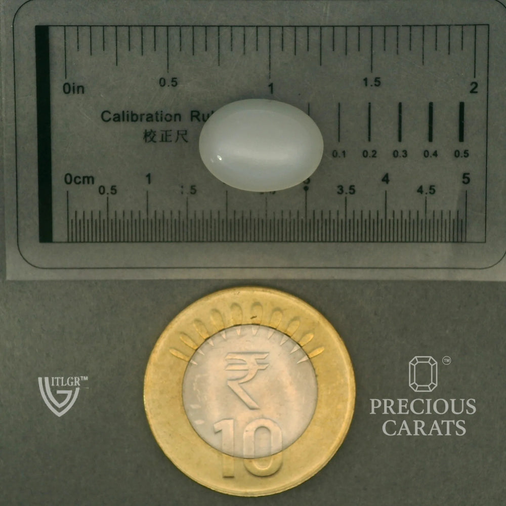 ITLGR_102090_SCALE.webp