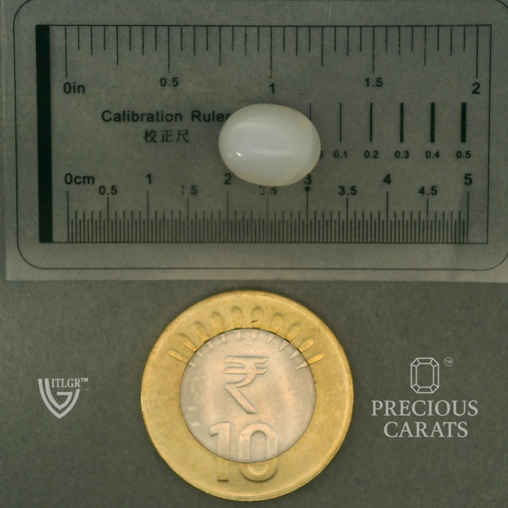 ITLGR_102091_SCALE.webp