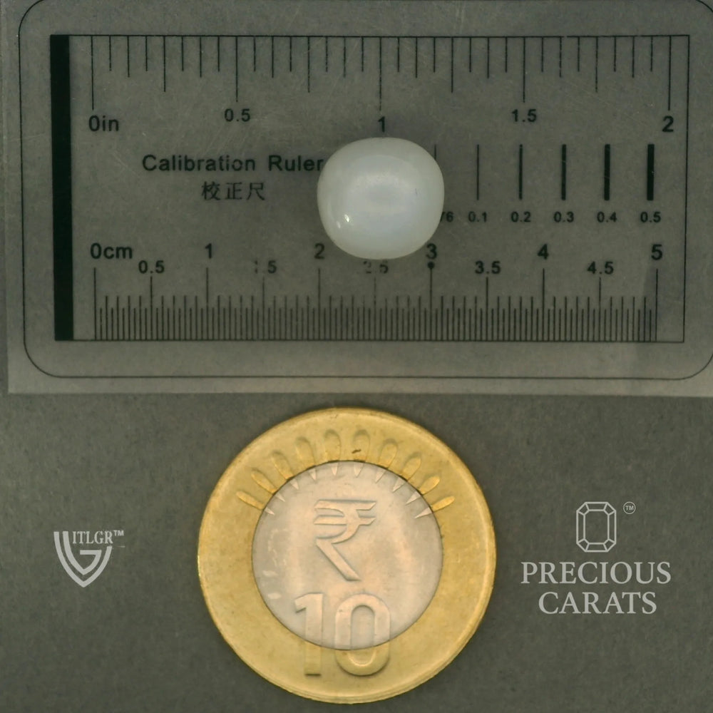 ITLGR_102093_SCALE.webp