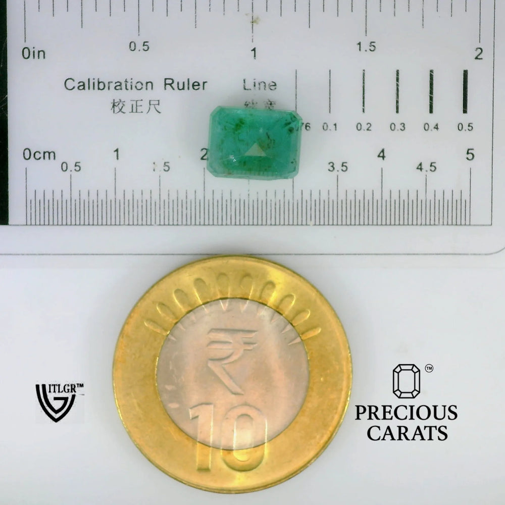 ITLGR_102164_SCALE.webp