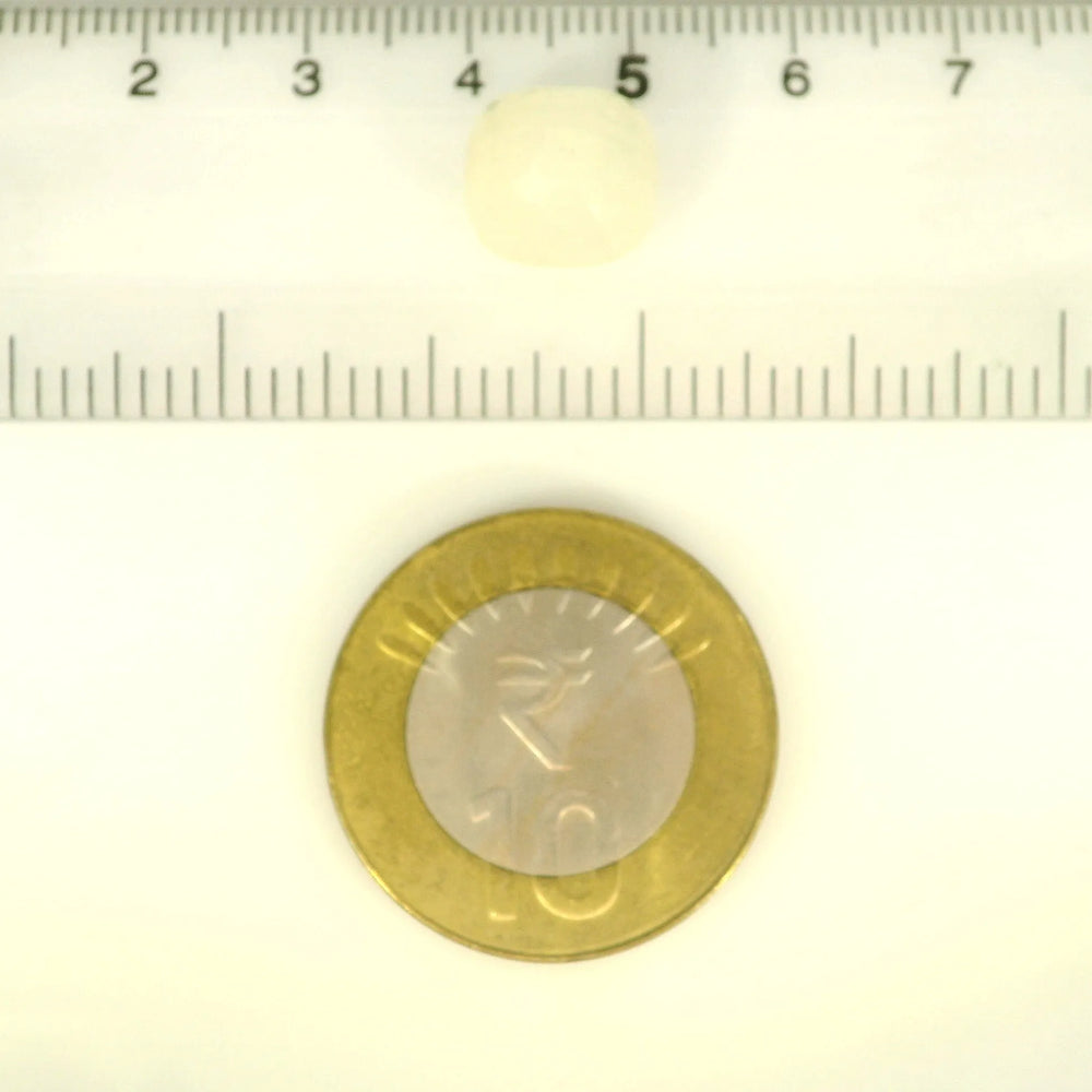 ITLGR_102254_SCALE.webp