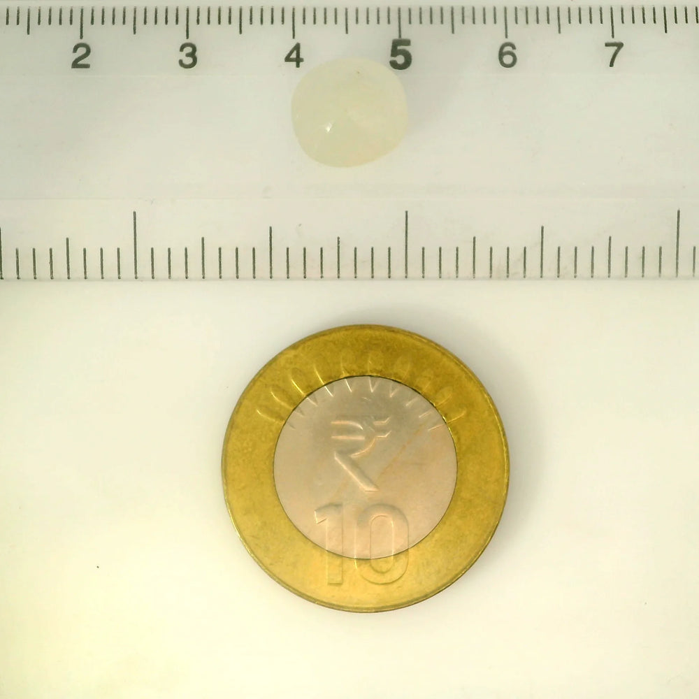 ITLGR_102263_SCALE.webp