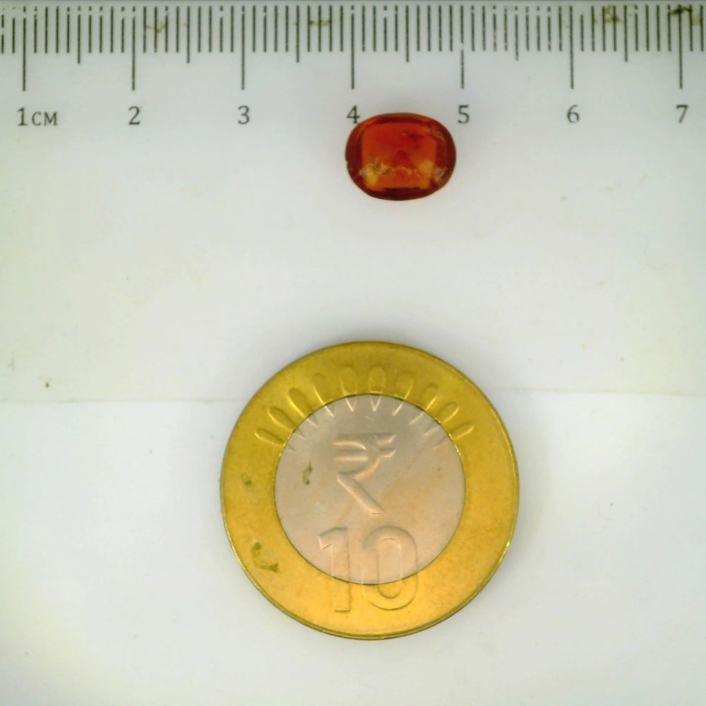 ITLGR_104096_SCALE.webp