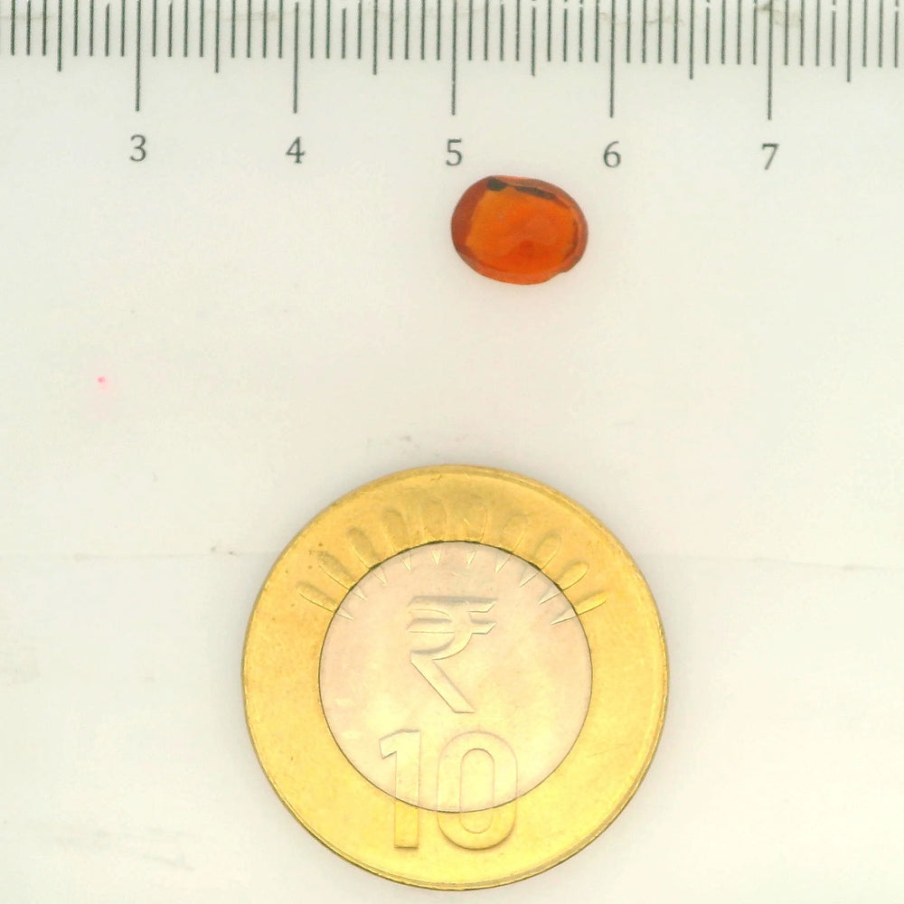 ITLGR_104097_SCALE.webp