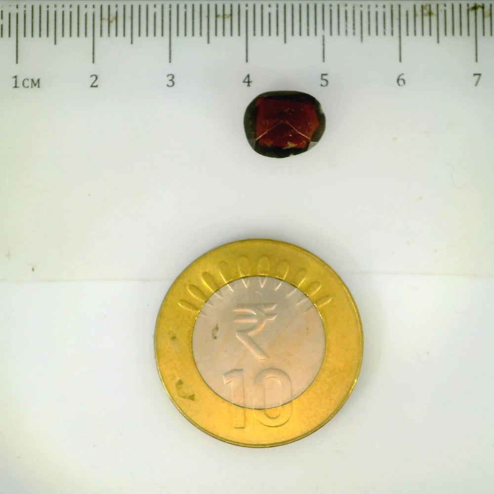 ITLGR_104100_SCALE.webp
