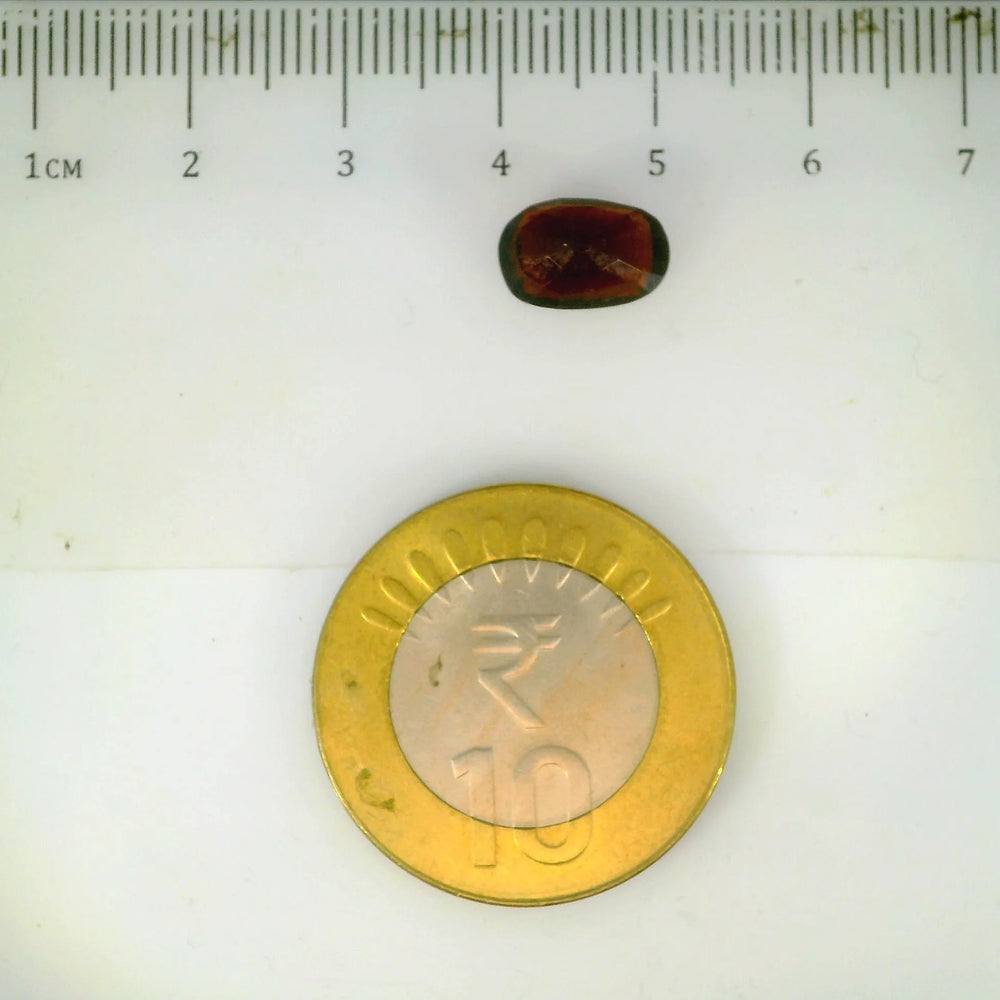 ITLGR_104102_SCALE.webp
