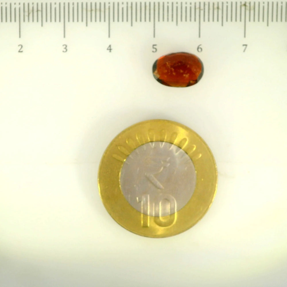 ITLGR_104109_SCALE.webp