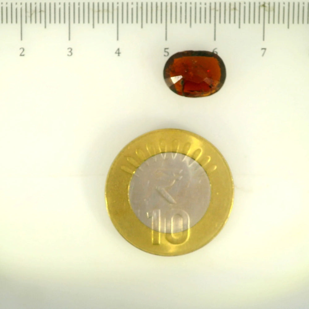 ITLGR_104112_SCALE.webp