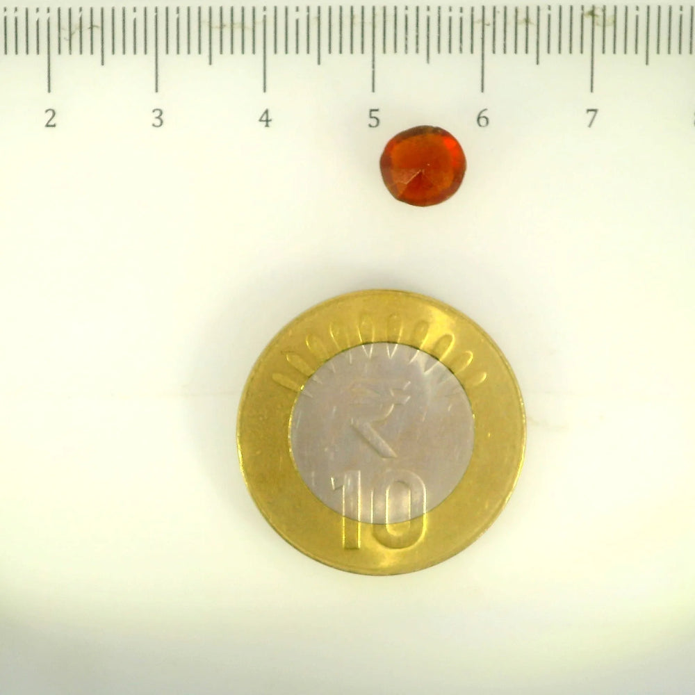 ITLGR_104115_SCALE.webp