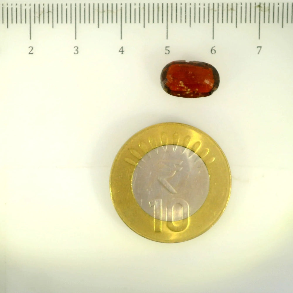 ITLGR_104118_SCALE.webp