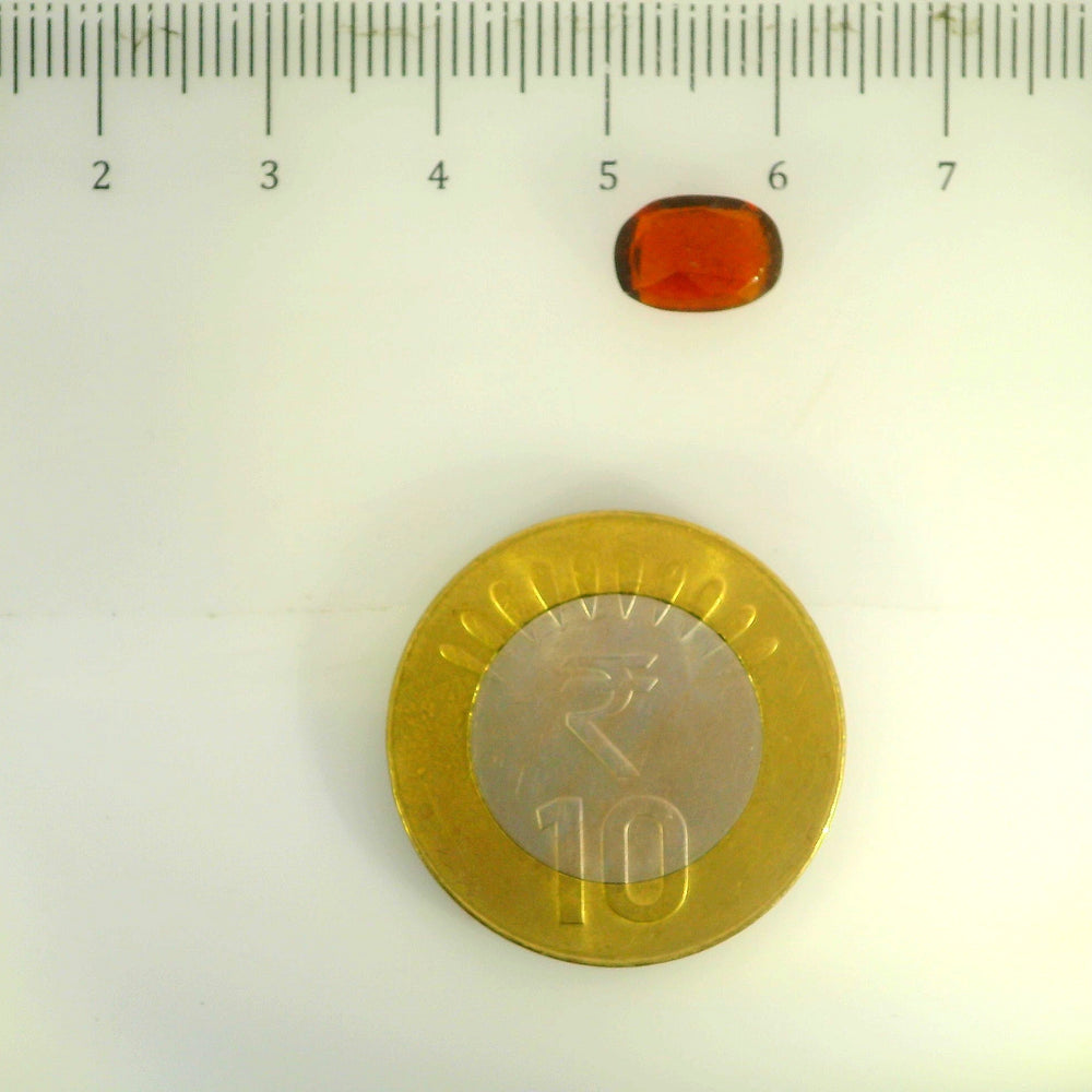 ITLGR_104121_SCALE.webp