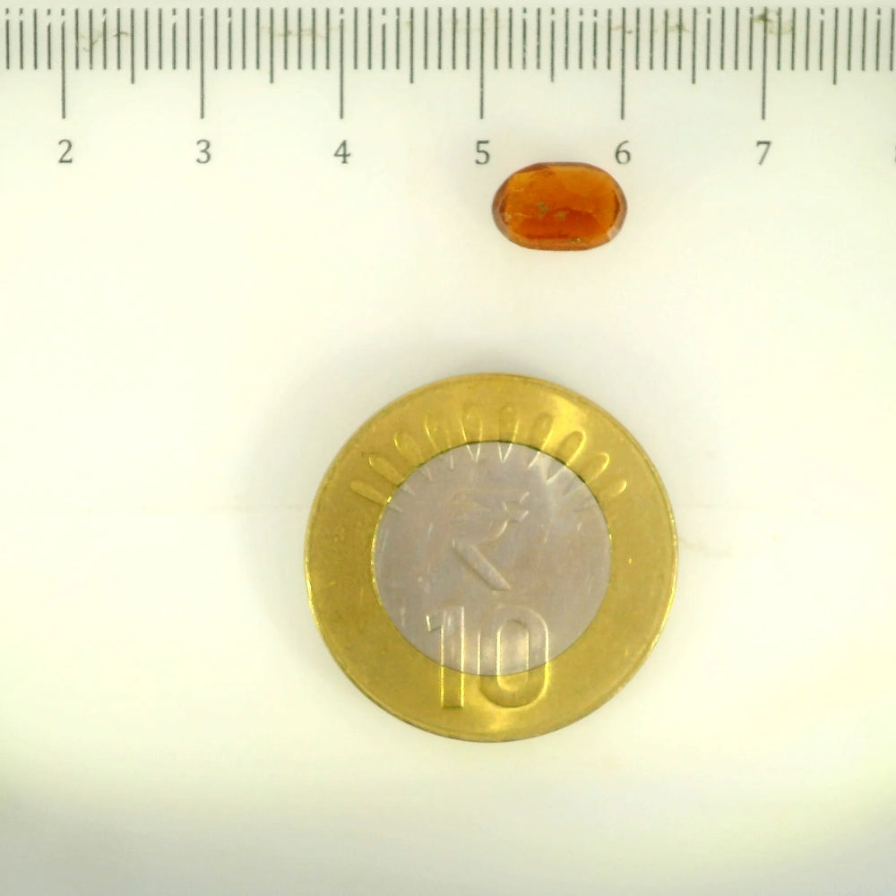 ITLGR_104134_SCALE.webp