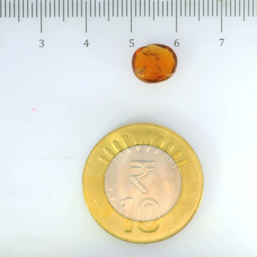 ITLGR_104137_SCALE.webp
