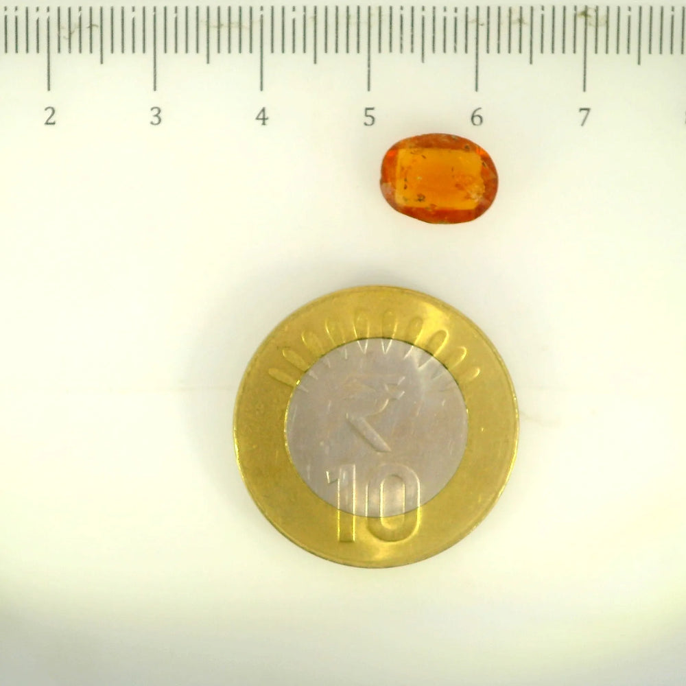 ITLGR_104138_SCALE.webp