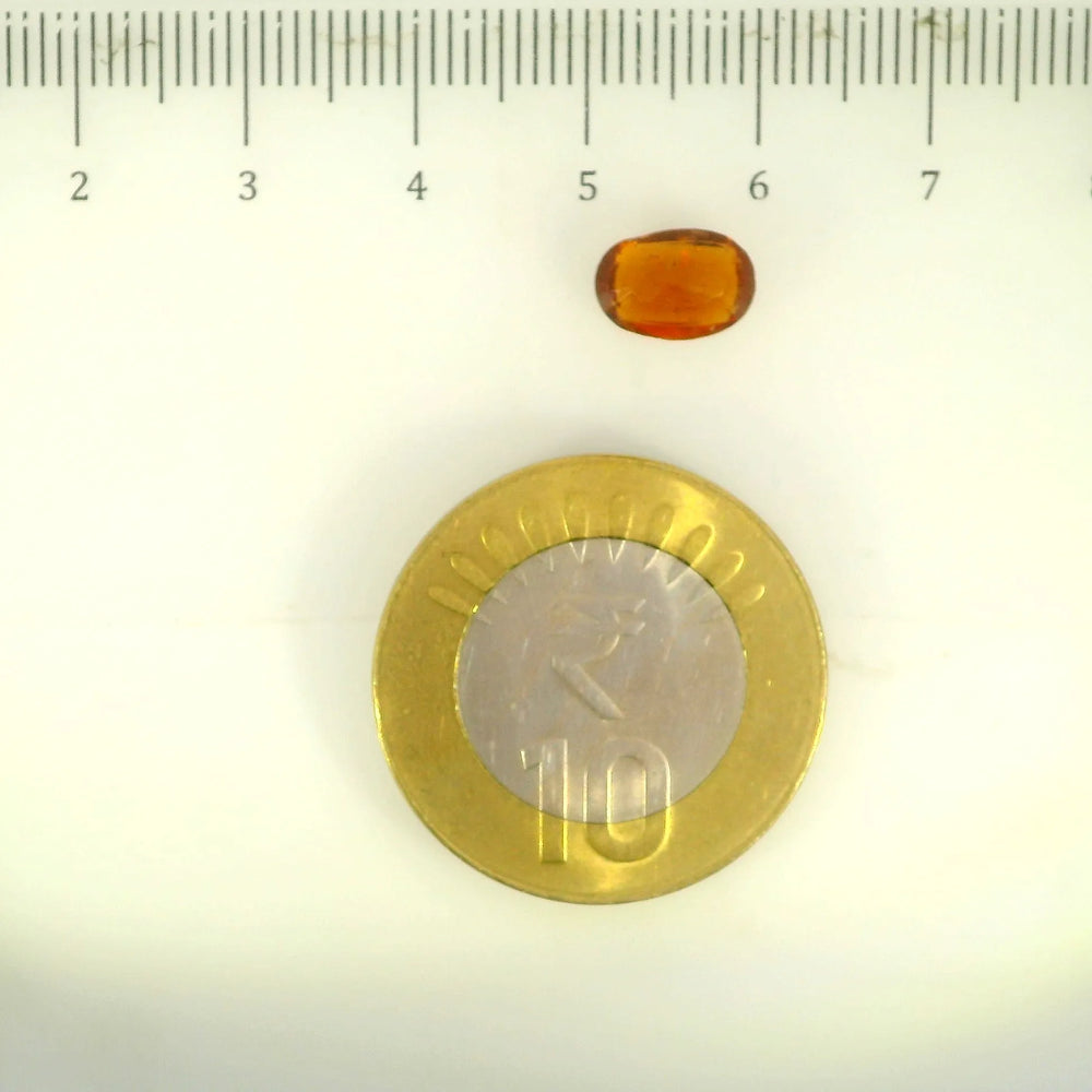 ITLGR_104141_SCALE.webp