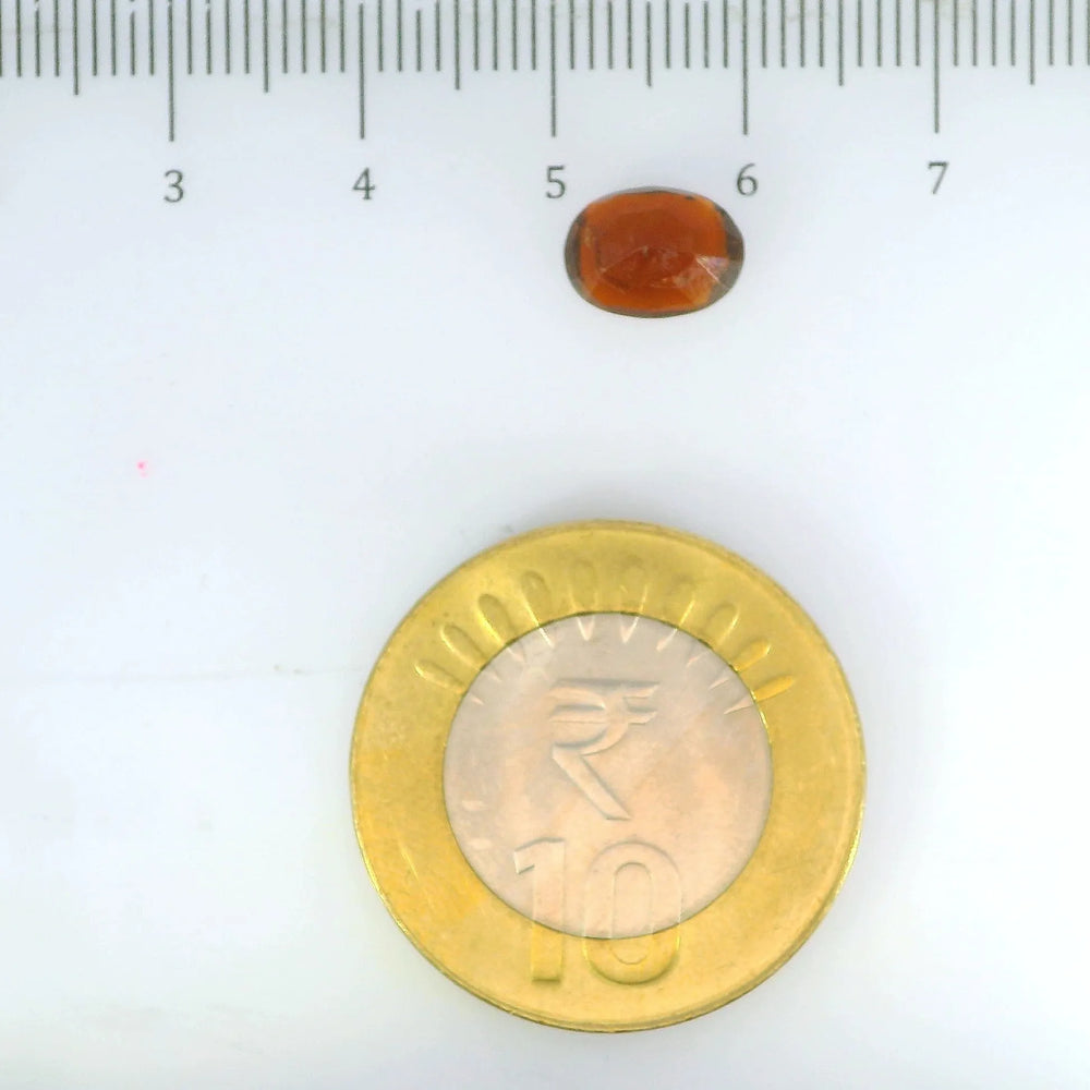 ITLGR_104153_SCALE.webp