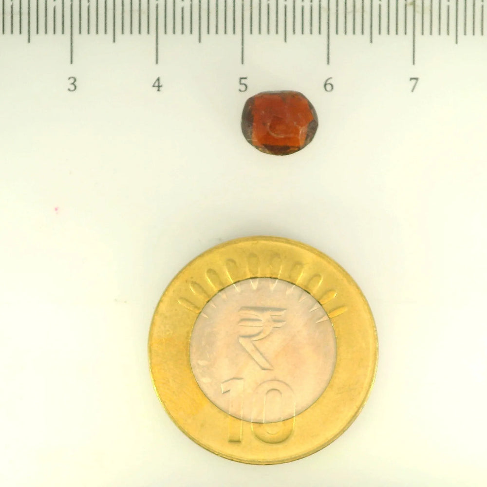 ITLGR_104154_SCALE.webp